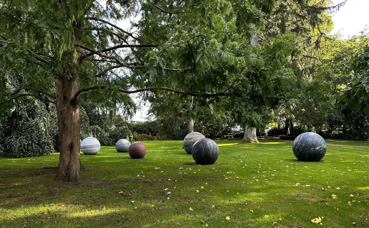 Embracing a Sense of Awe: How Wonder Can Transform Our Community