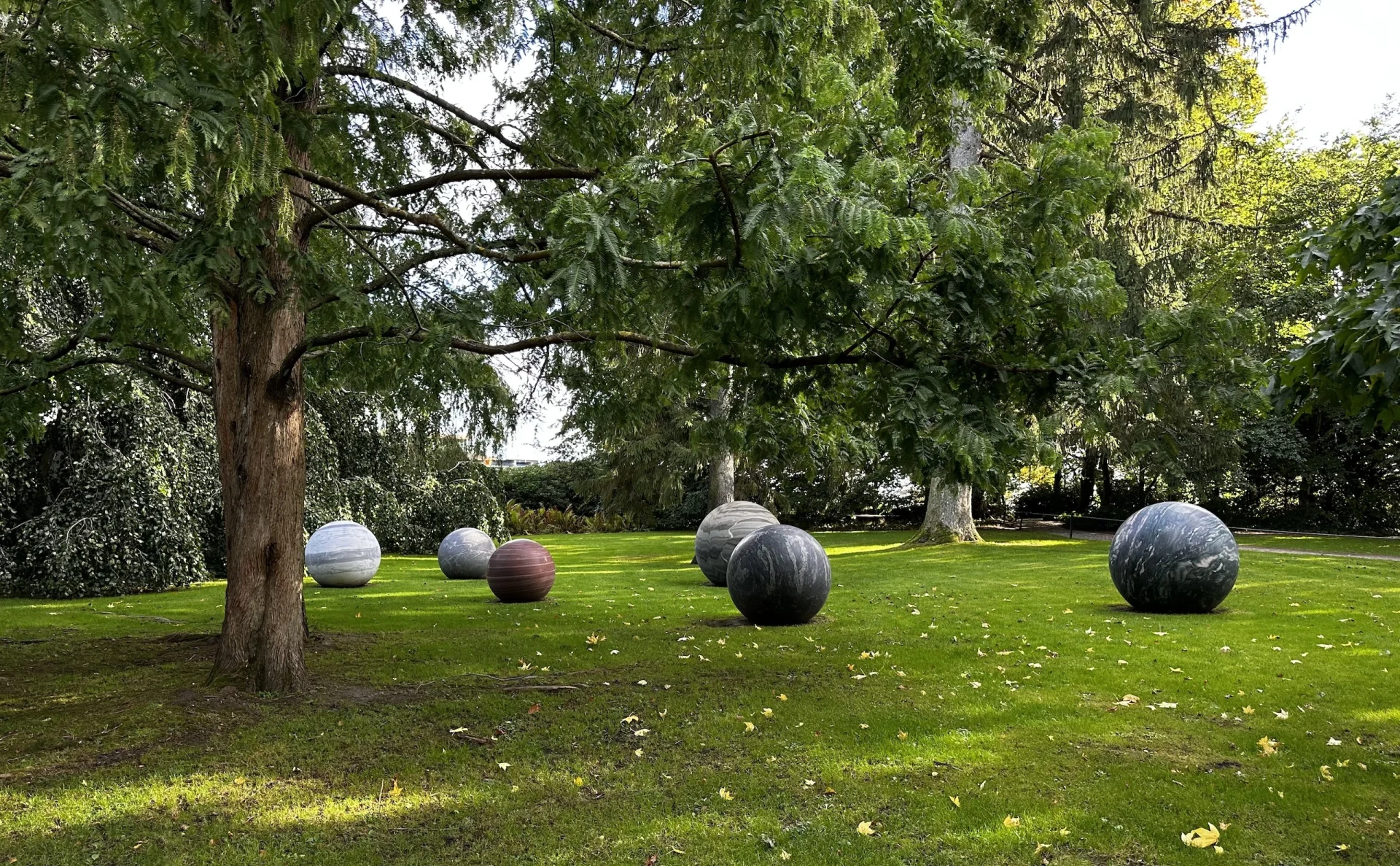 Embracing a Sense of Awe: How Wonder Can Transform Our Community