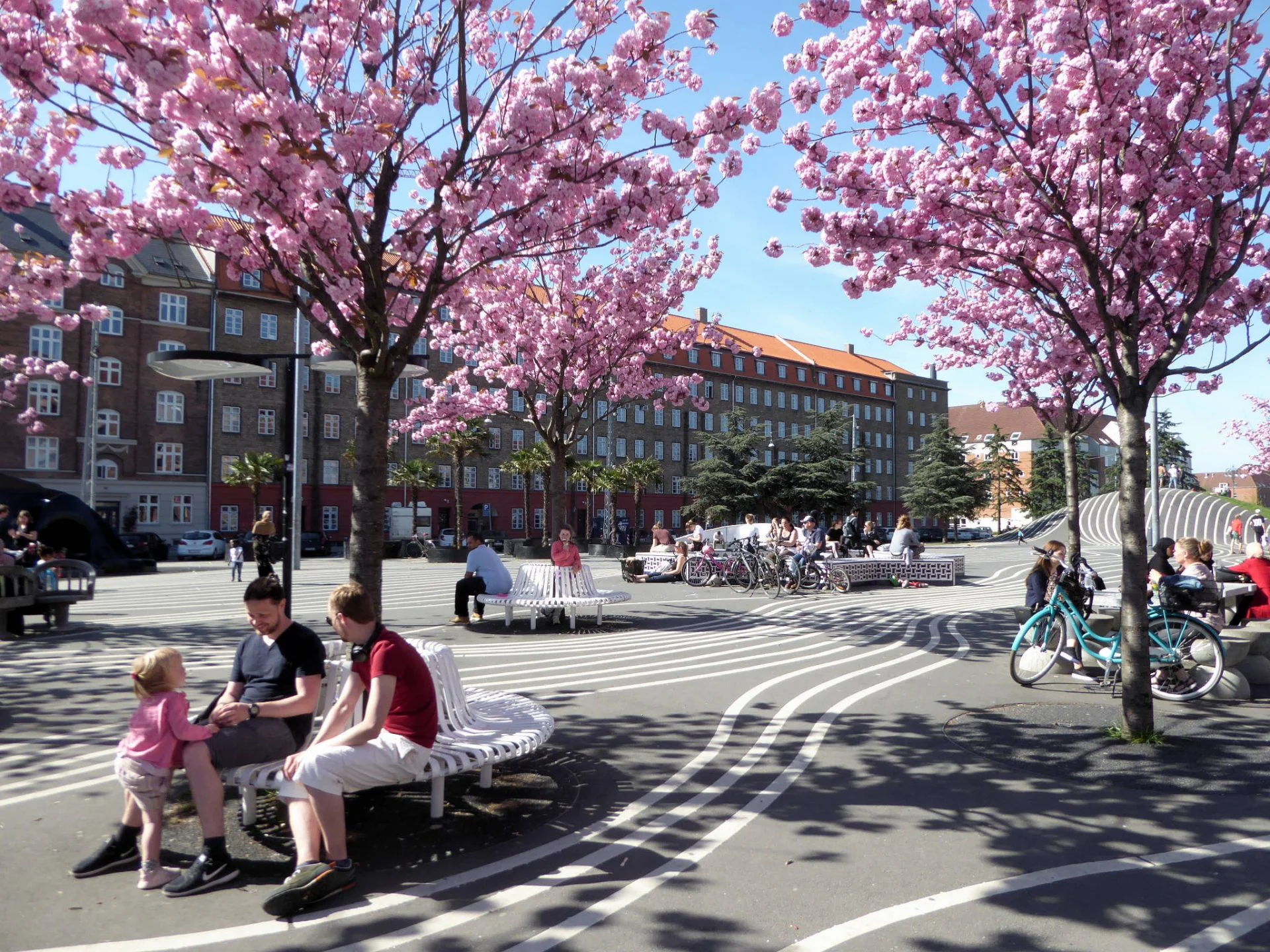 Q&A with Sophia Schuff of Gehl