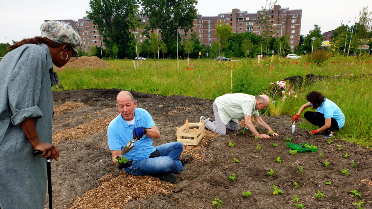 Research Brief: Why Cities Should Embrace Friction in Partnerships